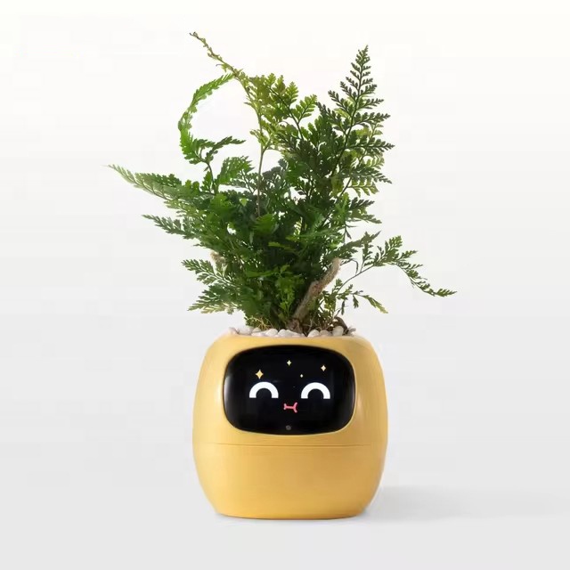 YY Wifi Ai Planter z funkcją p – Home Decor Ai Free recenzja i cena